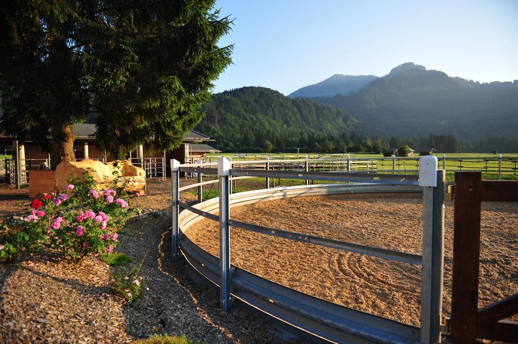 Der Landhof Apartman Oberstdorf Kültér fotó